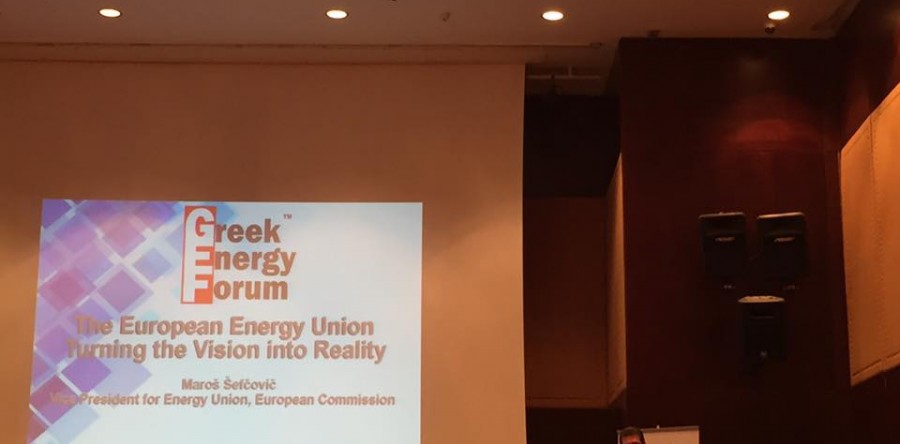 The European Energy Union: Turning the Vision into Reality